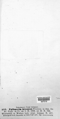 Mycosphaerella atomus image